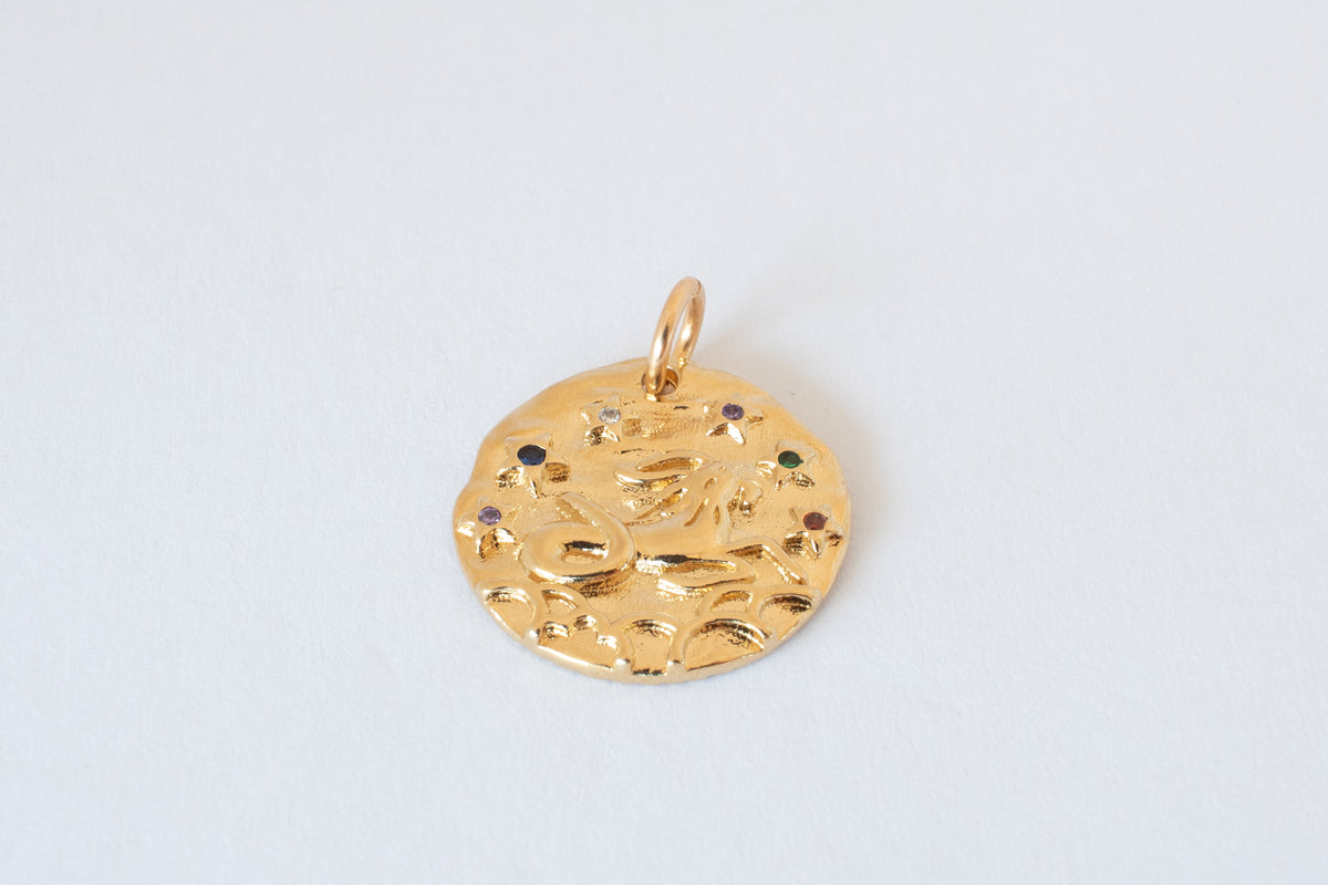 Capricorn charm