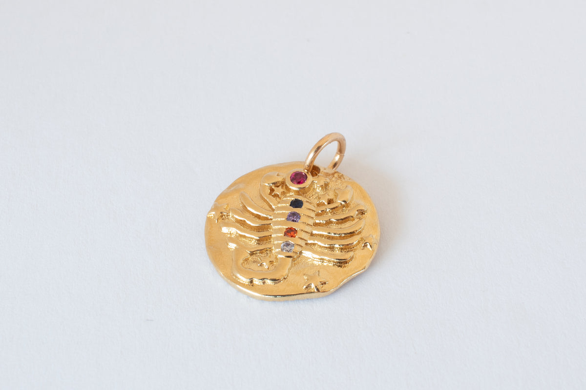 Scorpio charm