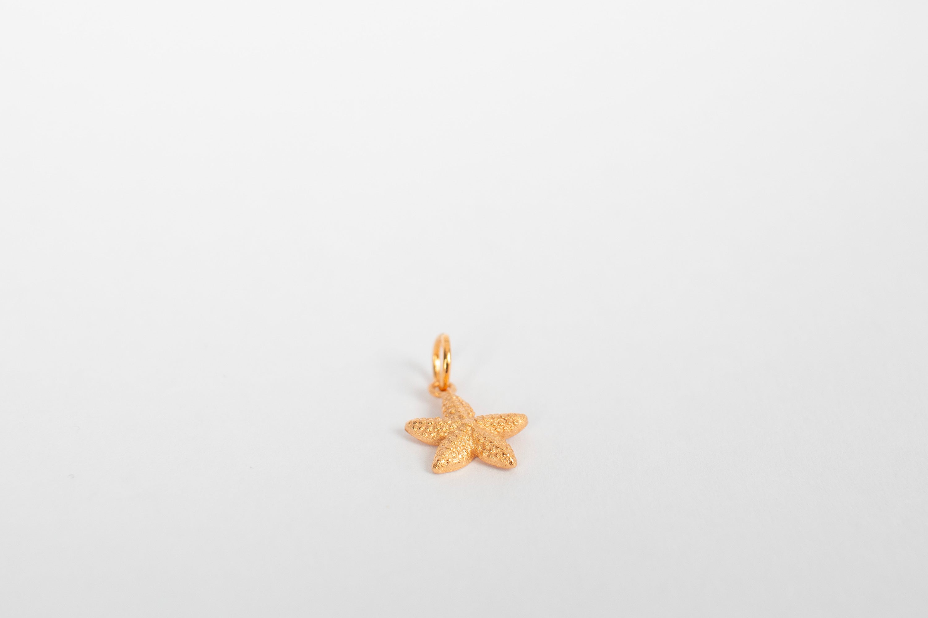 Sjøstjerne charm