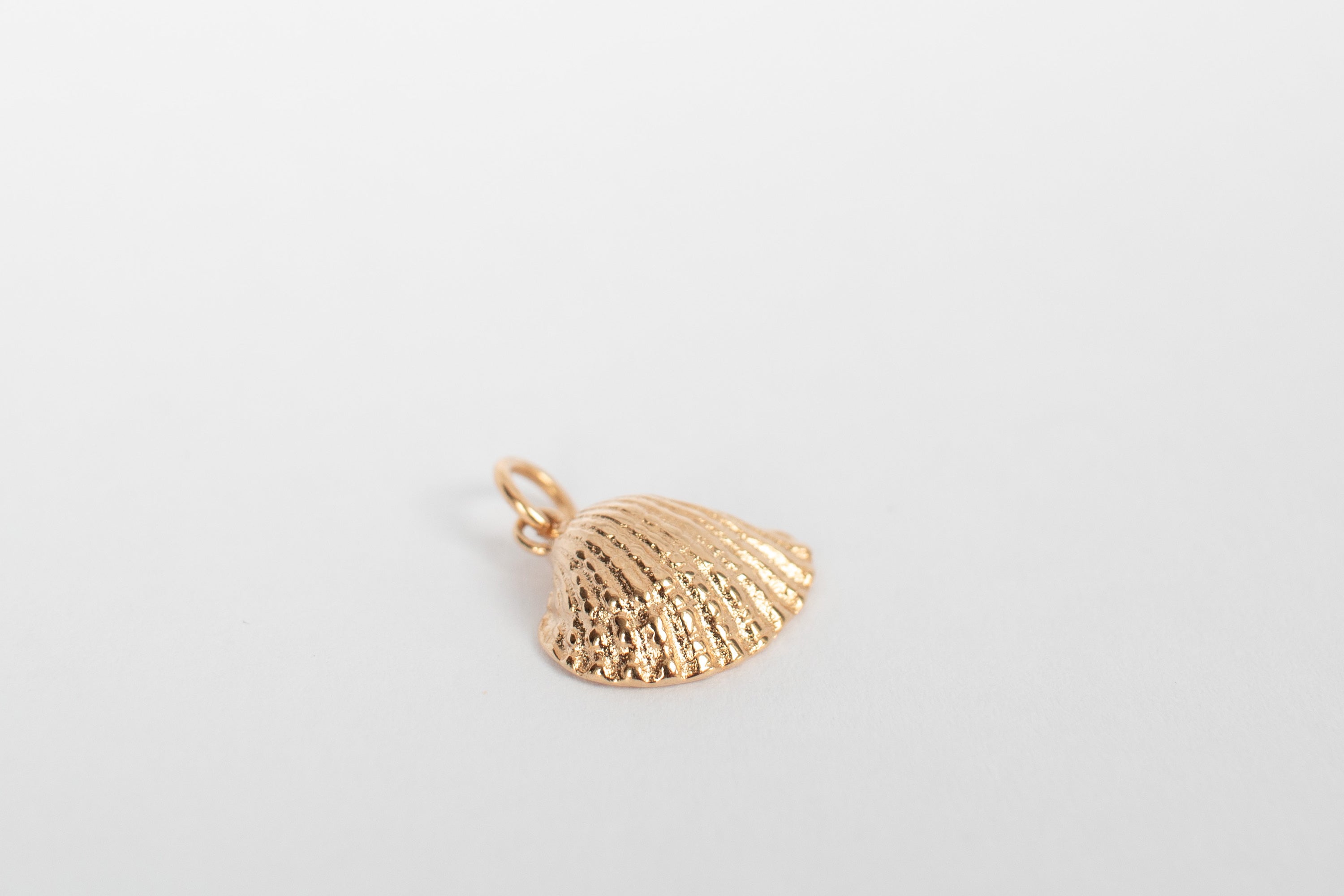 Coquillage charm