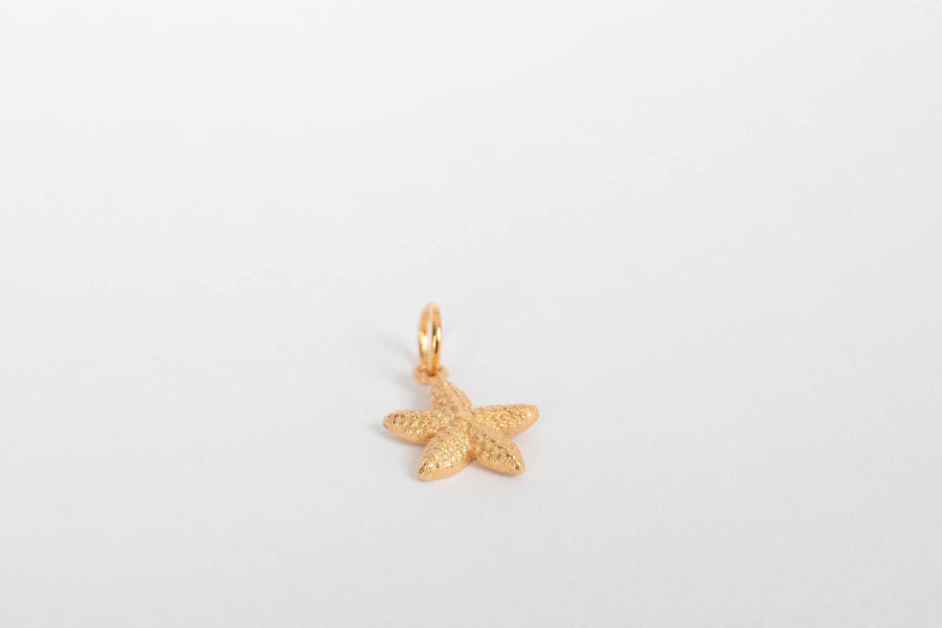 Sjøstjerne charm