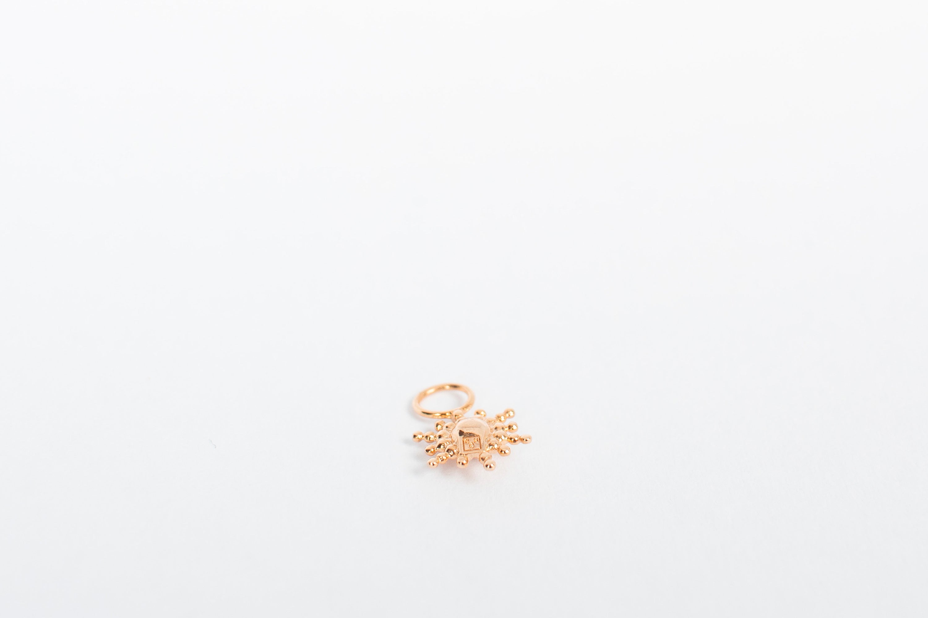 Stjerne charm